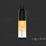 Onto Max 5000 Puffs Vape Mango Melon