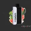 waka vape 10000 puffs Watermelon Chill