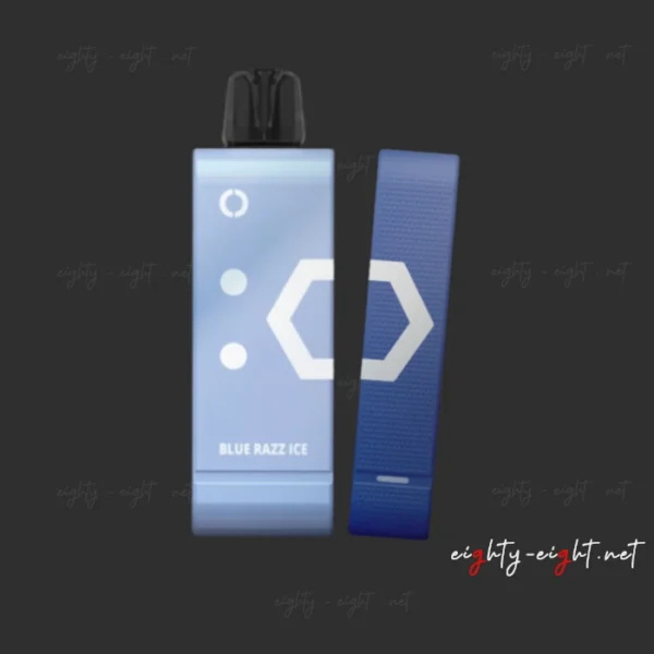 ELF BAR EW9000 9000 Puffs Blue Razz Ice - Full