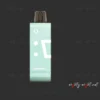 ELF BAR EW9000 9000 Puffs Miami Mint - Pod
