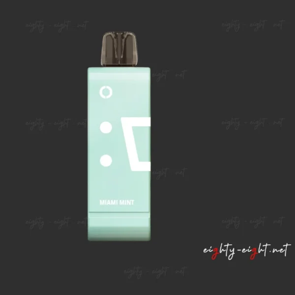 ELF BAR EW9000 9000 Puffs Miami Mint - Pod