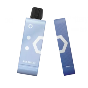 Elf Bar EW9000 Features